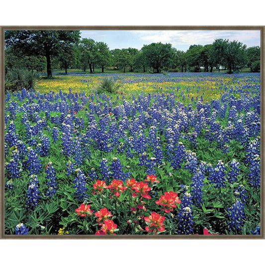 Prairie Flower Field Framed Canvas