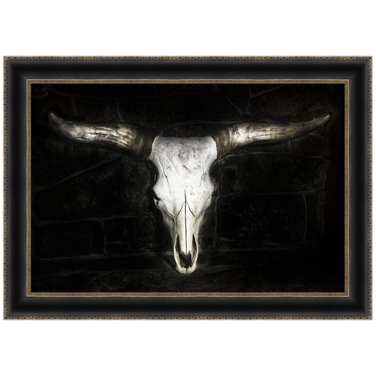 Tucson Skull Canvas Art