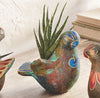 Painted Desert Clay Bird Planter - Turquoise