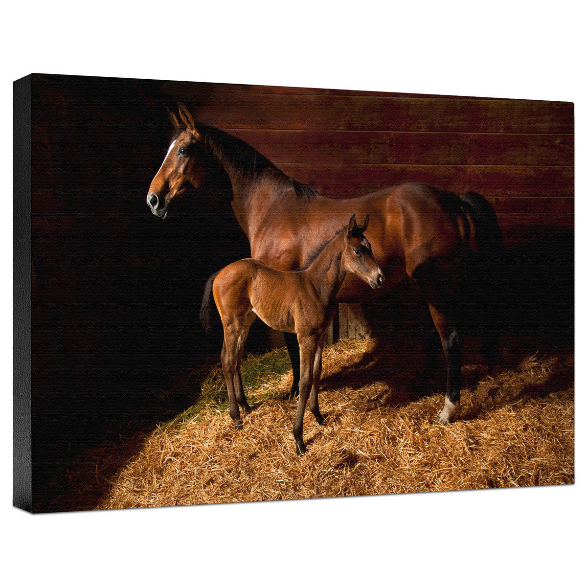 Waiting for the New Boss Gallery Wrapped Canvas