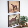Martingale Horses Framed Prints - Set of 2