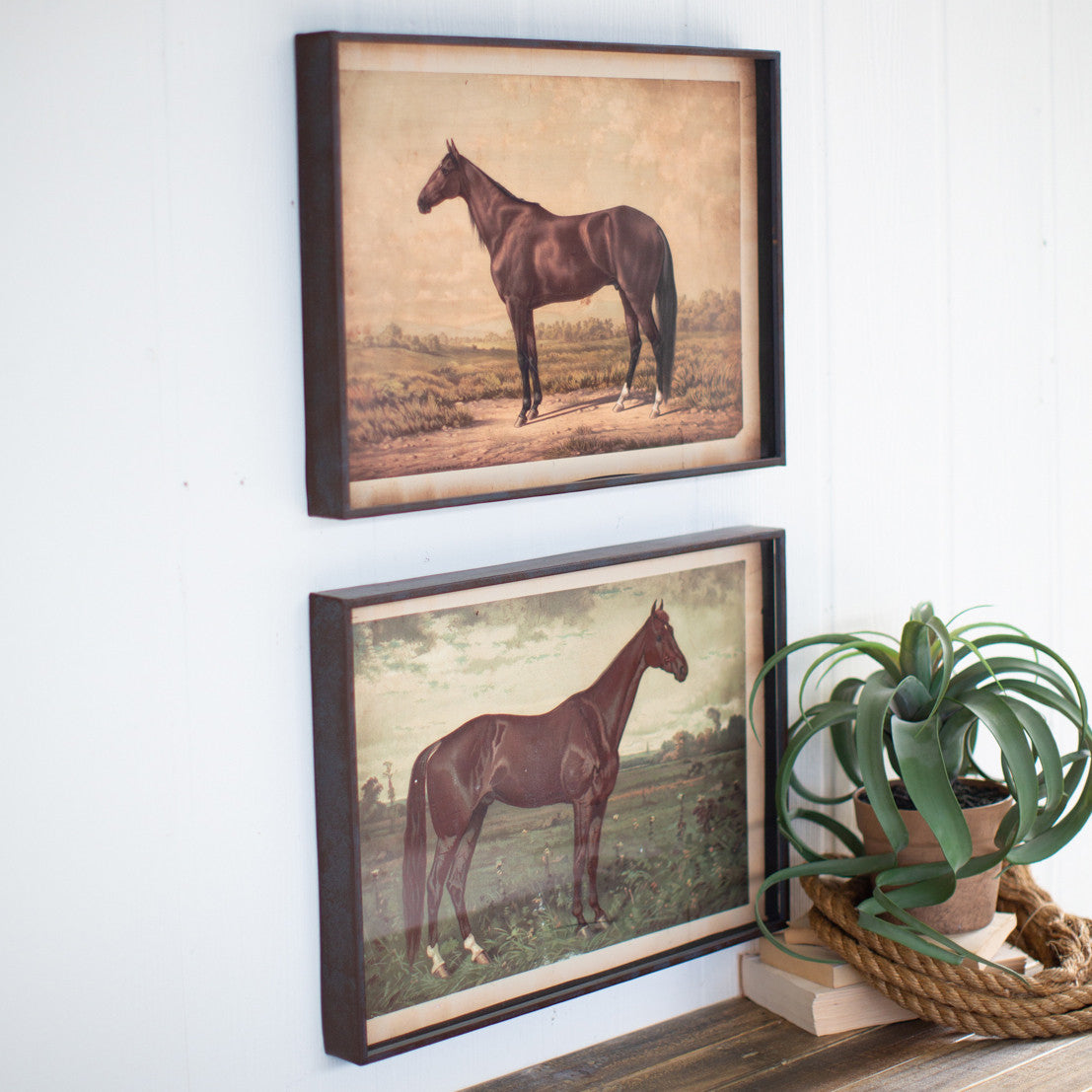 Martingale Horses Framed Prints - Set of 2