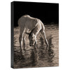 Cool Water Gallery Wrapped Canvas
