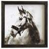 Grayscale Horse Wall Art