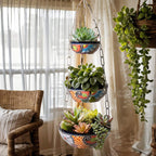 Petunia Hanging Planter