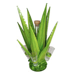 Lime Green Agave Tequila Set - Large