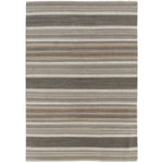 Neutral Serape Rug - 6 x 9