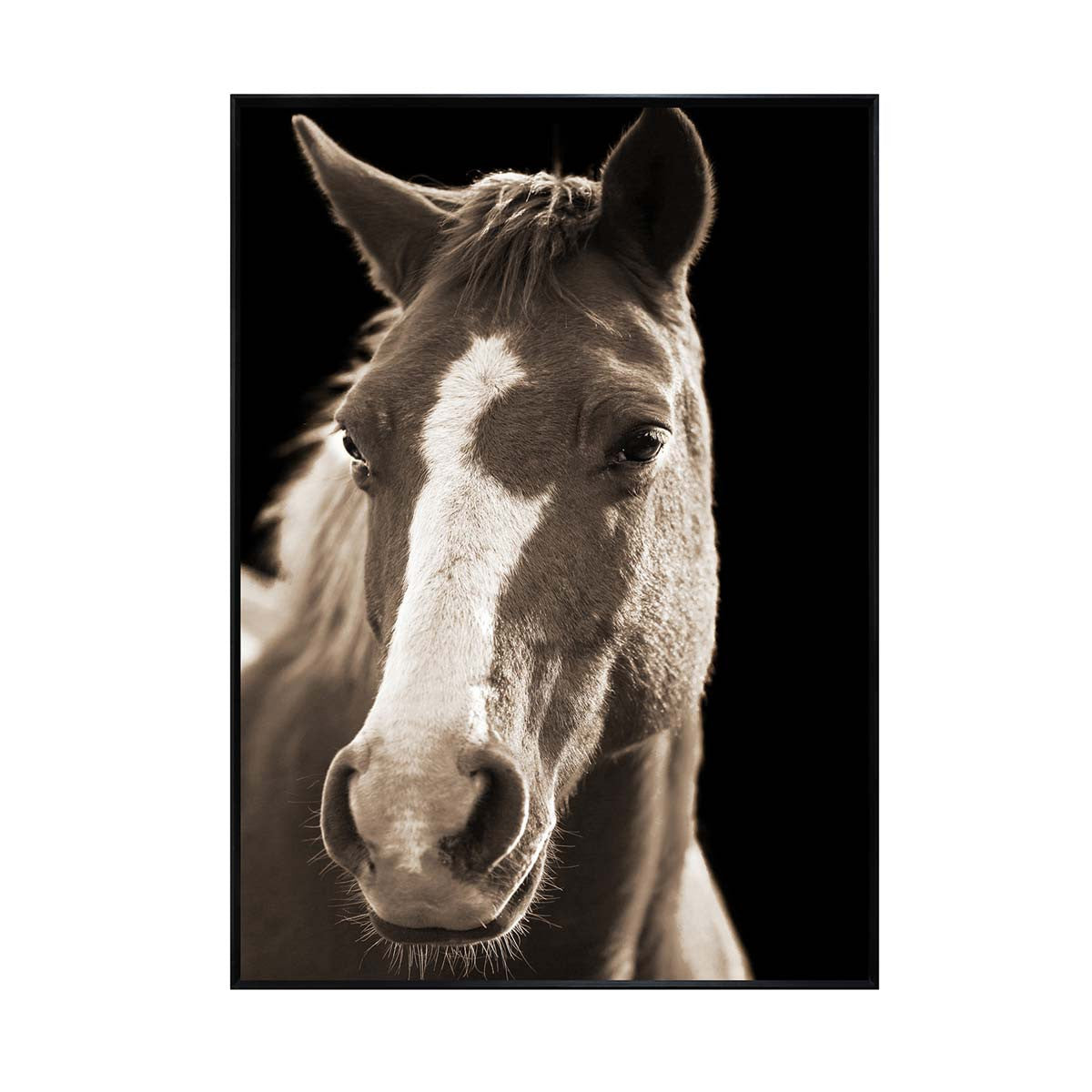 Stalwart Steed II Wall Art