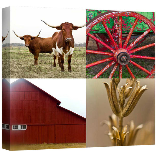 The Country I Mirror Wrapped Canvas