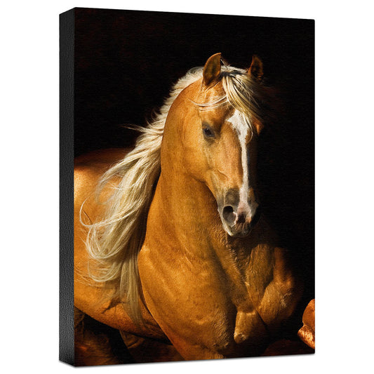 Sherry's Boy Gallery Wrapped Canvas