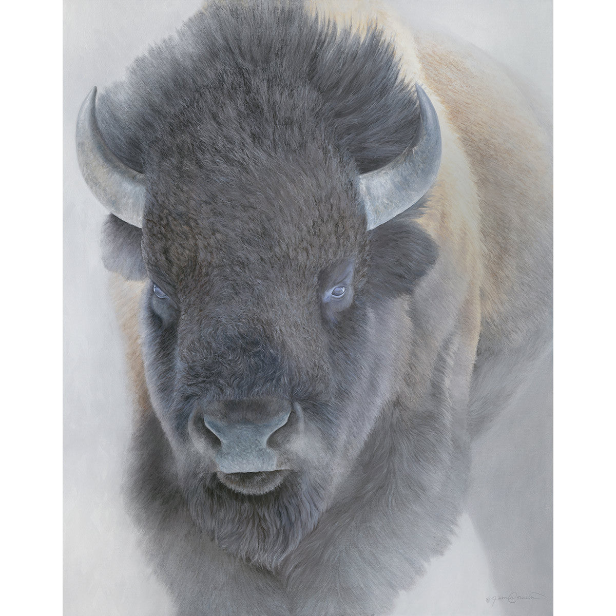 Big Bison Open Edition Print