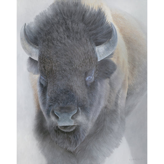 Big Bison Open Edition Print