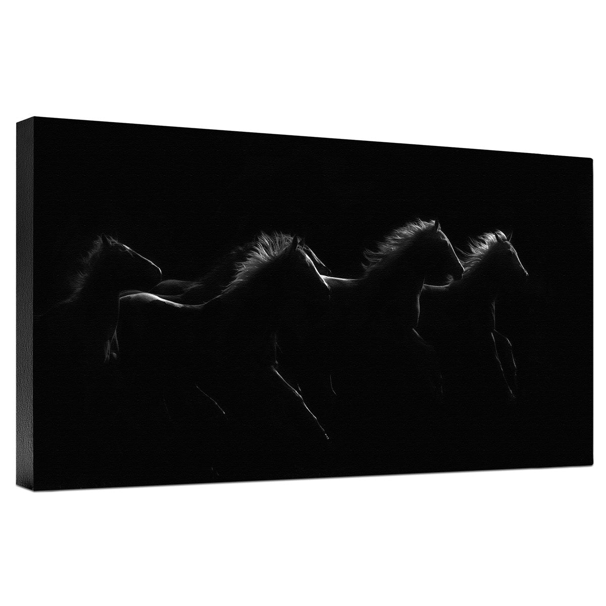 Midnight Dancers Gallery Wrapped Canvas