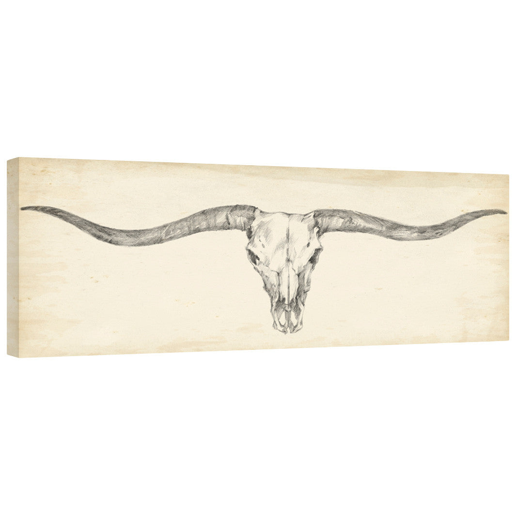 Western Skull Mount III Gallery Wrapped Canvas