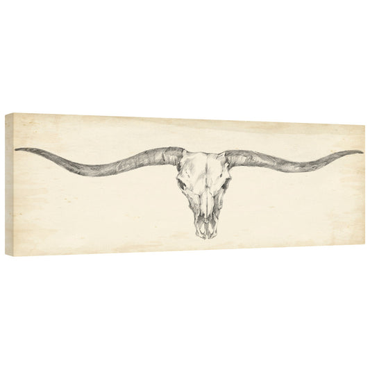 Western Skull Mount III Gallery Wrapped Canvas