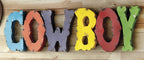 Cowboy Colorful Metal Art Sign