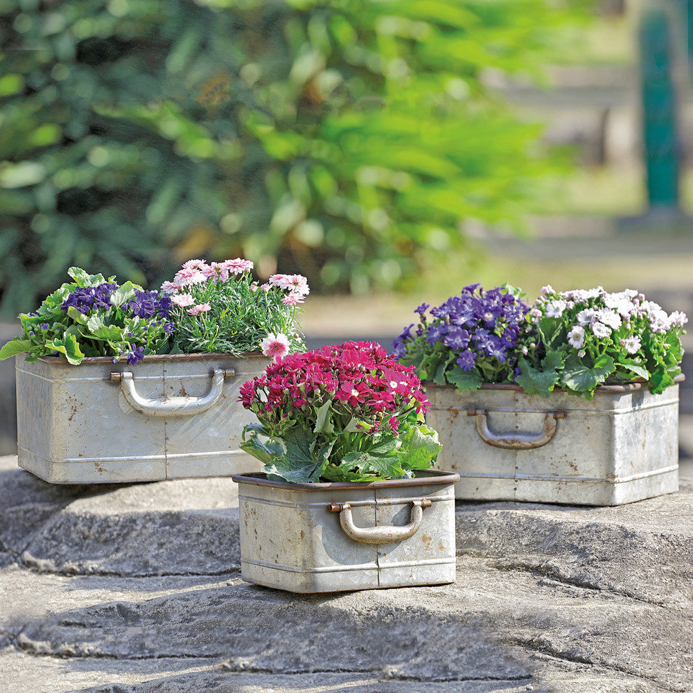Rectangular Metal Planters with Handles