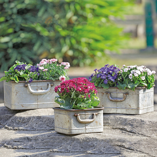 Rectangular Metal Planters with Handles