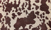 Cowhide Coir Mat