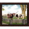 Longhorn Love Personalized Framed Canvas - Large