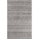 Desert Mirage Gray Rug - 4 x 6