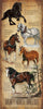 Equestrian Breeds Wood Sign