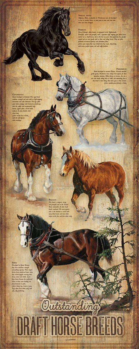 Equestrian Breeds Wood Sign