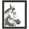 Wildlife Snapshot Horse II Framed Print