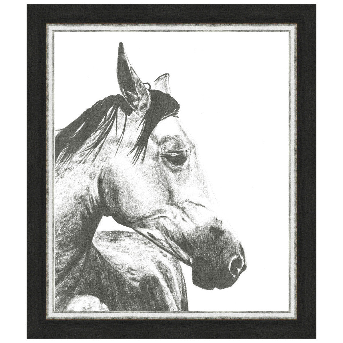 Wildlife Snapshot Horse II Framed Print