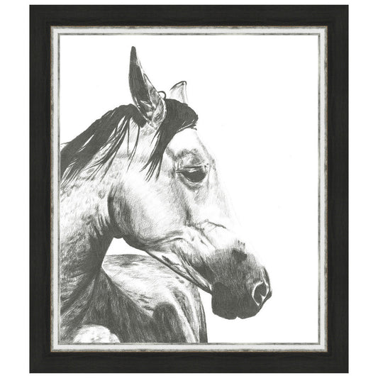 Wildlife Snapshot Horse II Framed Print