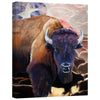 Texas Bison Canvas Wall Art