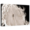 Leonardo Gallery Wrapped Canvas