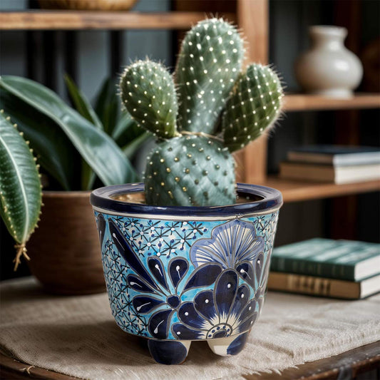 Oliver Plant Holder