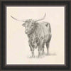 Longhorn Sketch I Wall Art