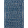 Blue Mexican Indoor/Outdoor Rug - 8 x 11