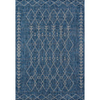 Blue Mexican Indoor/Outdoor Rug - 8 x 11