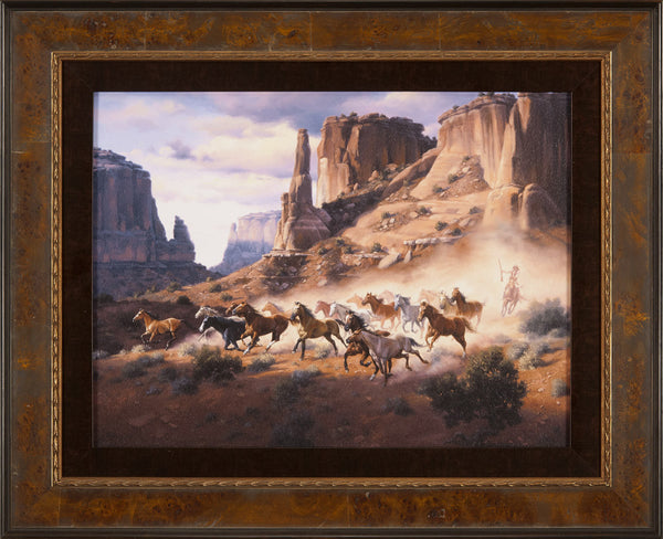 Sandstone & Stolen Horses Framed Print