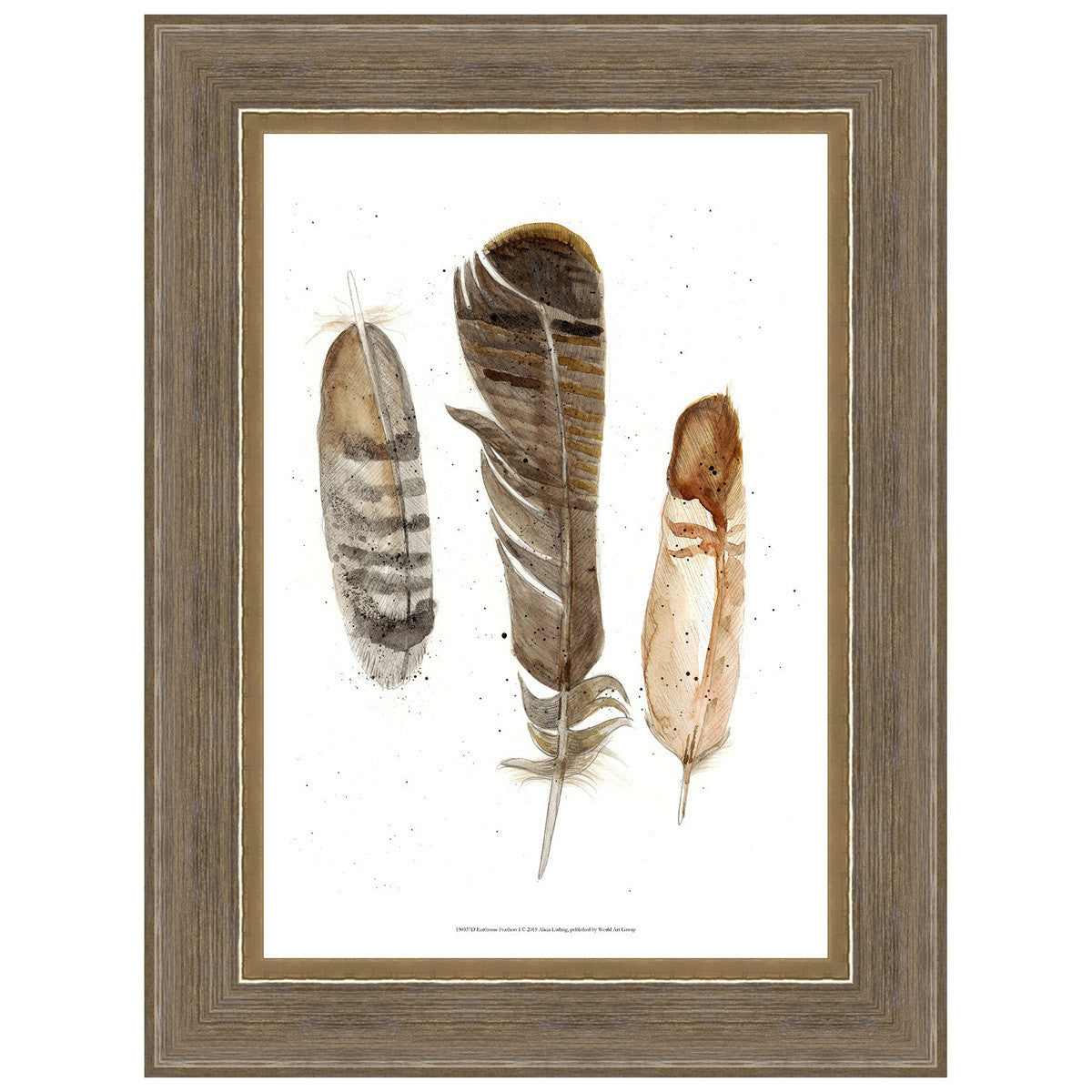 Earthtone Feathers I Framed Print
