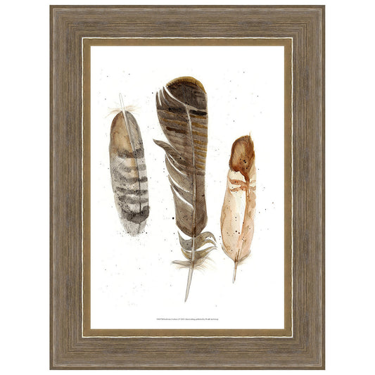Earthtone Feathers I Framed Print