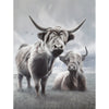 A Higher Land Limited Edition Print