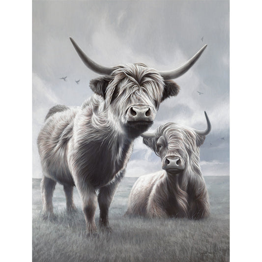 A Higher Land Limited Edition Print