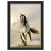 Wild Stallion Black Framed Canvas