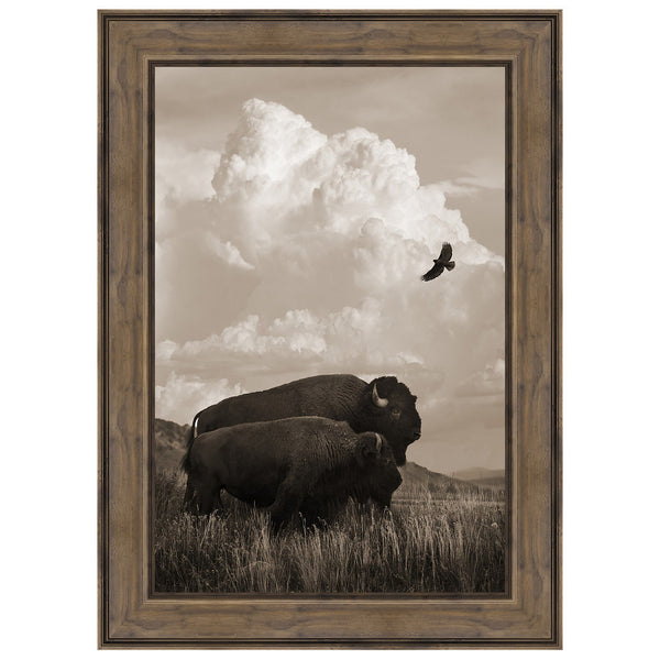 The American Buffalo Framed Canvas