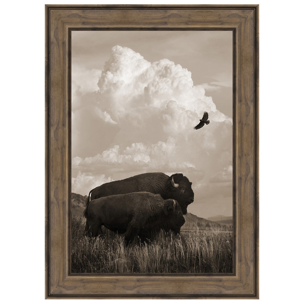 The American Buffalo Framed Canvas