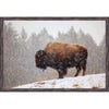 Snowy Buffalo Wall Art
