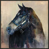 Equine Vision II Canvas Art