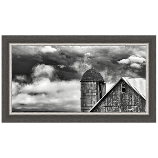 Companions Framed Print