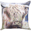 Highland Bull Pillow