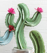 Blooming Cactus Green Metal Sculpture - Medium