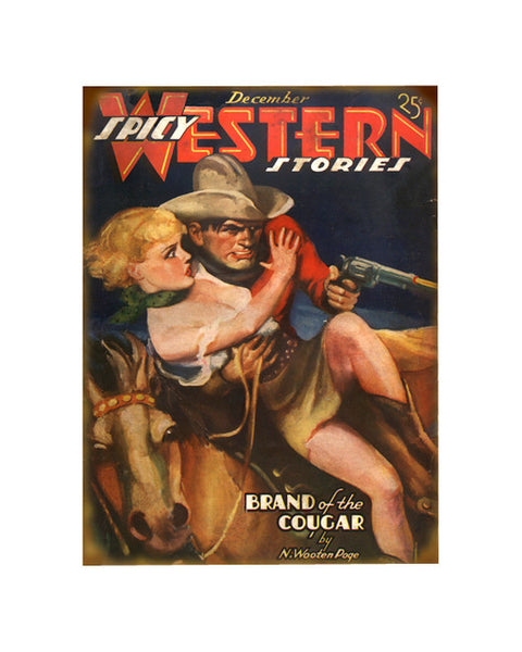 Spicy Western Stories Sign